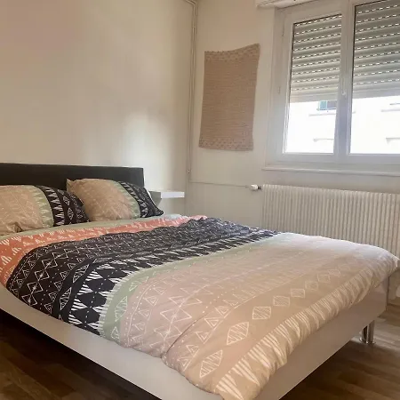 Le Canal Strasbourg - Moderne Avec Parking Apartamento Bischheim