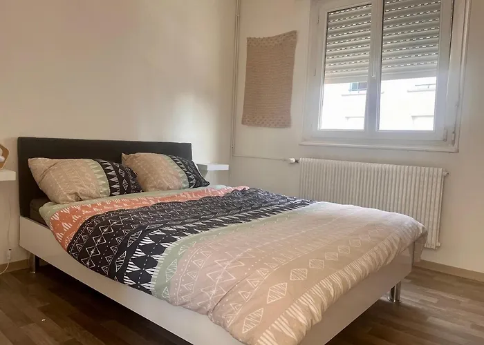 Le Canal Strasbourg - Moderne Avec Parking Apartment Bischheim