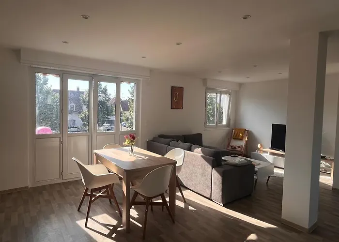 Le Canal Strasbourg - Moderne Avec Parking Apartment